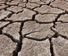 Cracked, dry earth with large fissures, showing signs of severe drought and arid conditions.