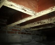 Dimly lit basement ceiling with exposed wooden beams and brick walls.
