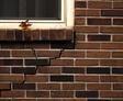 Brick wall with a crack below a window sill where yellow leaves rest.