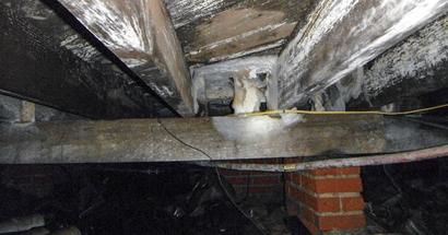 Nasty crawl space with compromised joists