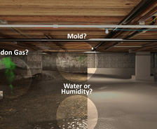 Basement with potential issues: mold, radon gas, and water or humidity highlighted.