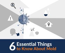 6 Essential Things to know about mold.