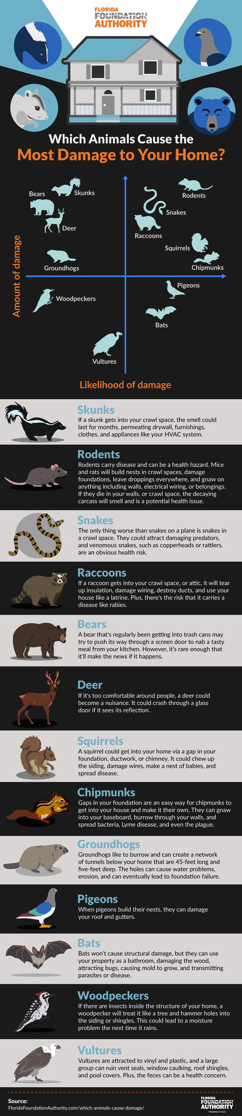 Which animals cause the most damage to your home