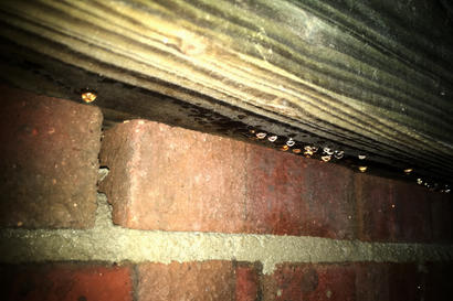 Condensation on crawl space joists.