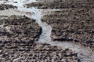 Soil Washout