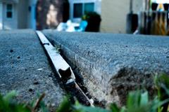 Unlevel concrete sidewalk.
