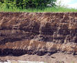 Deep foundation soils
