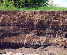 Deep foundation soils