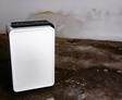 A regular white dehumidifier rests on a stained concrete floor against a weathered wall, perfectly suited for managing moisture in a crawl space.