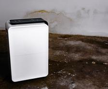 A regular white dehumidifier rests on a stained concrete floor against a weathered wall, perfectly suited for managing moisture in a crawl space.