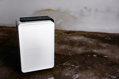 A regular white dehumidifier rests on a stained concrete floor against a weathered wall, perfectly suited for managing moisture in a crawl space.