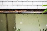 Rainwater overflowing from a roof gutter, causing water to spill down the side of a building—an issue to address in hurricane prep.