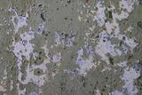 Concrete corrosion example.