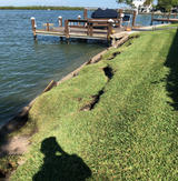 grassy area near seawall and small wooden pier