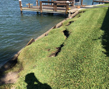 grassy area near seawall and small wooden pier