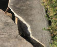 A large crack splits a concrete sidewalk beside grass and water.