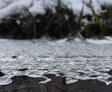 Close-up of icy ground with grass peeking through, covered in a thin layer of ice or frost.