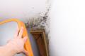 Hand moving an orange trash can, revealing mold on a white wall and corner.