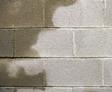 Shadow of a tree on a light gray concrete block wall.