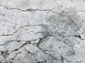 Cracked gray concrete surface with irregular lines and rough texture.