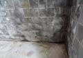 Concrete basement wall with visible mold and moisture damage forming dark patches.