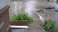 Flooded backyard with plants submerged in murky water near a brick wall and wooden barrier.
