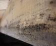 Close-up of a wooden beam showing signs of mold growth.