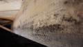Close-up of a wooden beam showing signs of mold growth.