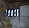 Small window with metal bars and mesh in a concrete and wood basement wall, partially covered with insulation.