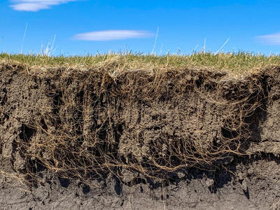 roots and soil layers with blue sky