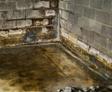 Wet basement floor and walls.