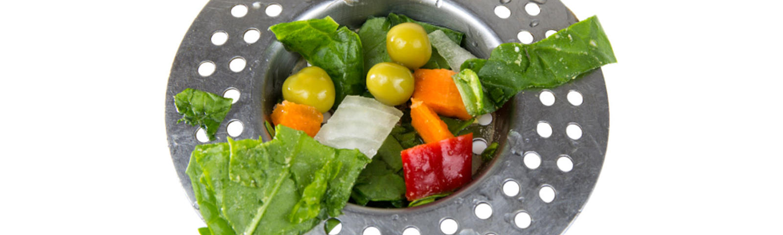 Garbage disposal with fresh vegetables