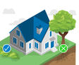Planting guide Pros and Cons illustrated