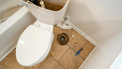 Toilet repair.