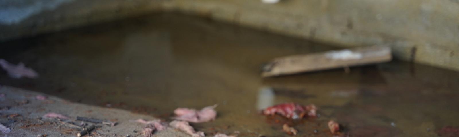 Water in Crawl Space