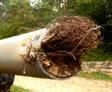 Outside pipe clogged with debris close up.