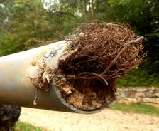 Outside pipe clogged with debris close up.