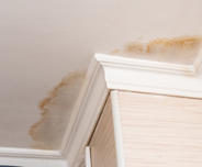water damage in ceiling