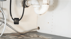 Leaky pipes under sink.