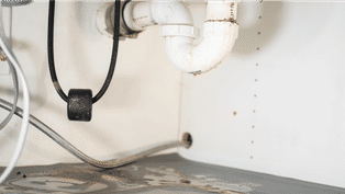 Leaky pipes under sink.