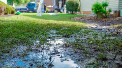 Flooding in yard.