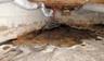 standing water in a crawl space