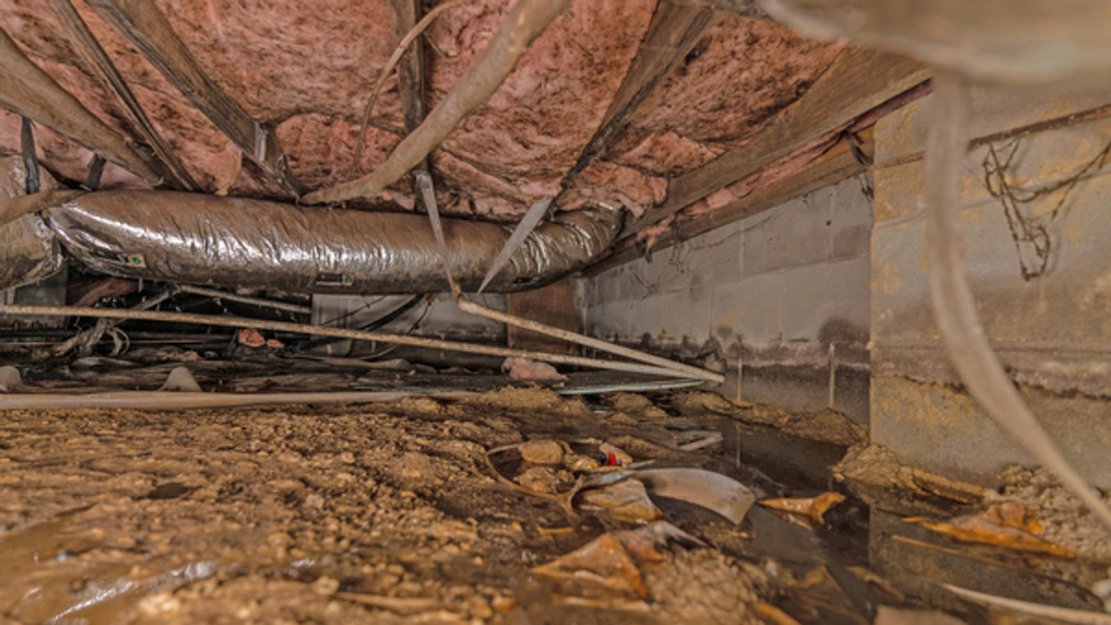 A crawl space showing severe signs of damage from humidity.
