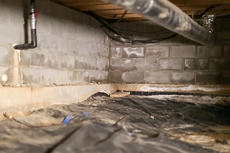 A wet and musty crawl space.