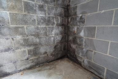 Signs of efflorescence on a basement wall.