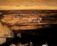 Close-up of wooden beams with visible mold growth and water damage.