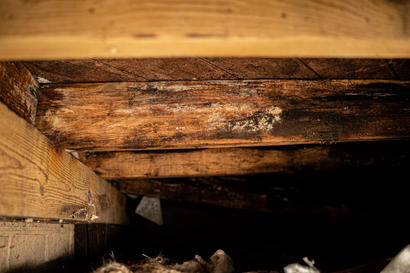 Close-up of wooden beams with visible mold growth and water damage.