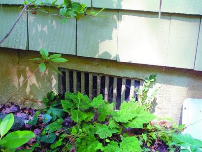 crawl space vent