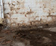 basement water damage