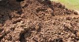 A large pile of loose brown soil on the ground, likely from recent foundation repair, with some grass visible in the background.